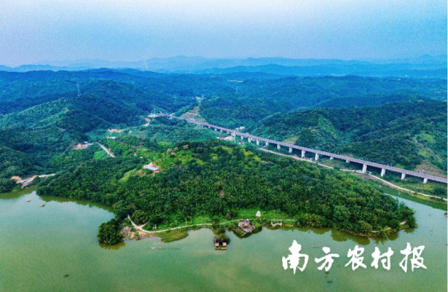 南方农村报 陈志深 拍摄