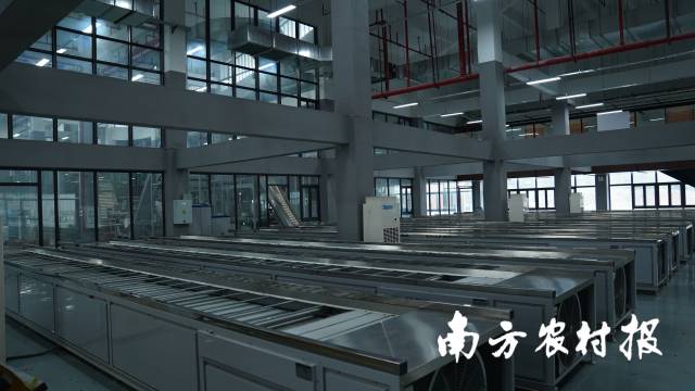 智能化生產(chǎn)流水線