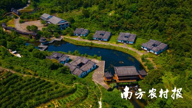 南方农村报 陈静 拍摄