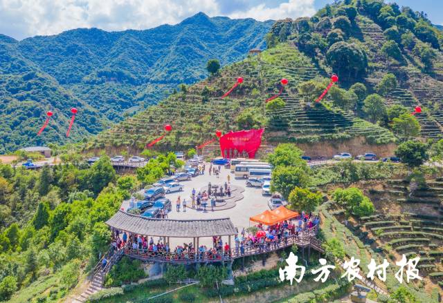 1  南方农村报 杨玲 拍摄