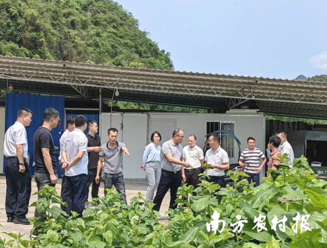 调研组一行实地考察里苗村荣庆桑蚕养殖家庭农场。