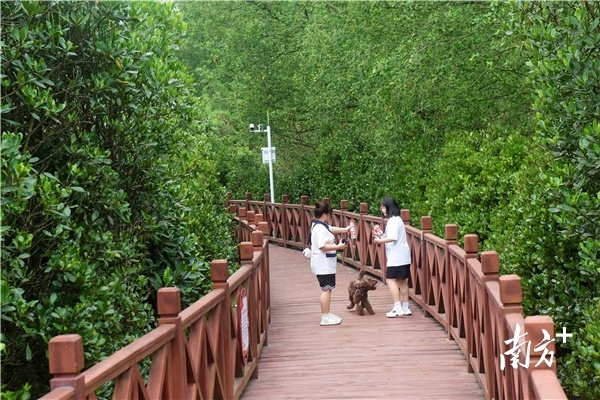 南方⁺ 梁维春 拍摄