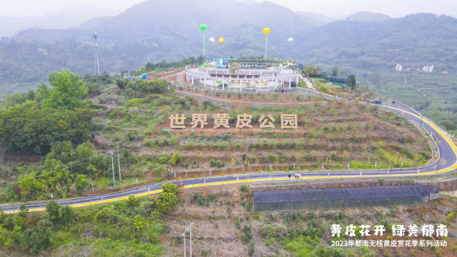 郁南世界黄皮公园是新晋农旅目的地