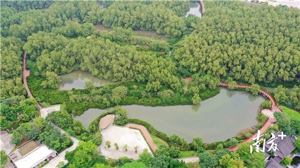 南方⁺ 梁维春 拍摄