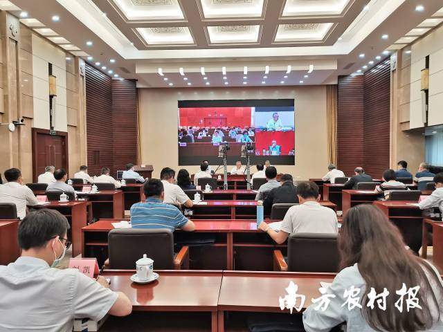 全省“虫口夺粮”促丰收暨红火蚁防控电视电话会议现场