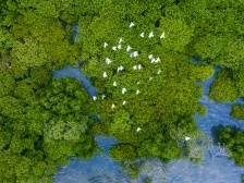 一江春水向岭南，千帆竞发海天阔