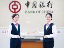 中国银行：以金融力量助力广东继续走在全国前列