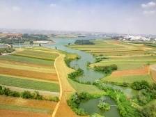 中国农业银行：“农”情伴岭南 奏响新“粤”章