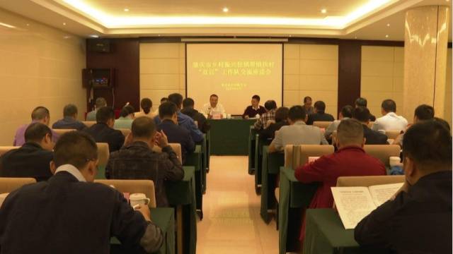 肇庆市乡村振兴驻镇帮镇扶村“双百”驻镇工作队交流座谈会
