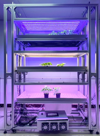 植物光综合调控生长平台