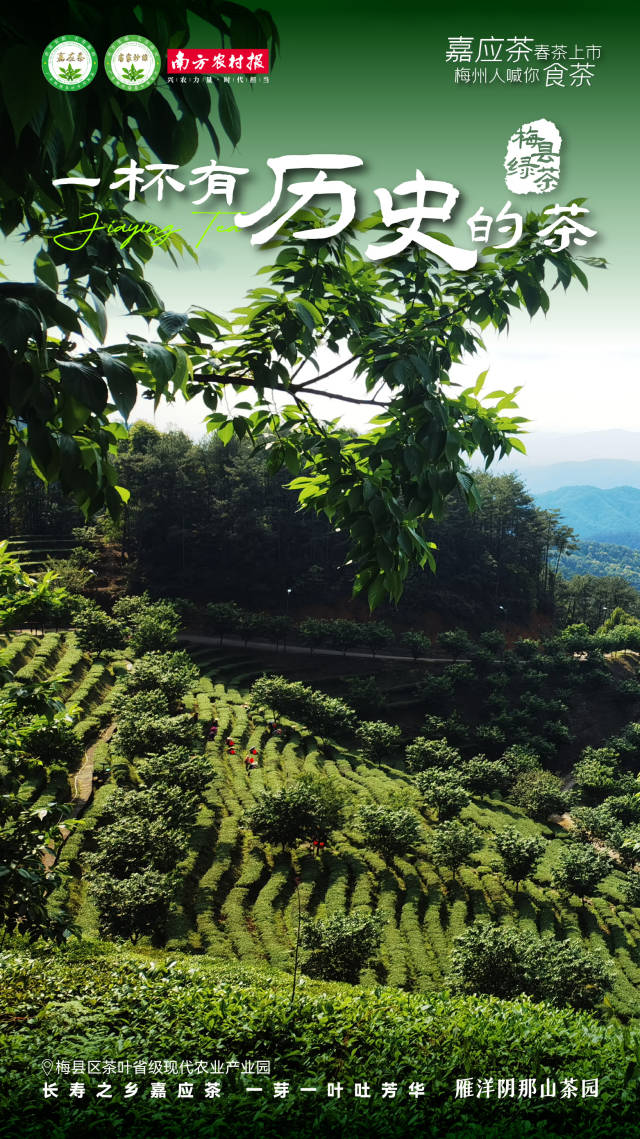 3  南方农村报 杨玲 制图