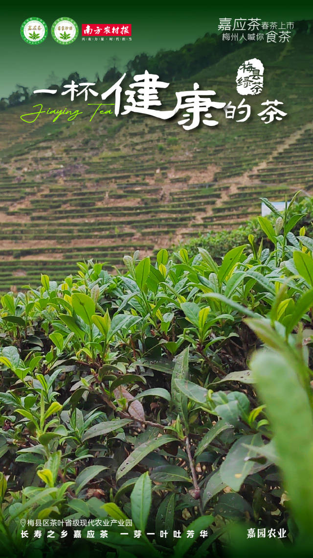 2  南方农村报 杨玲 制图