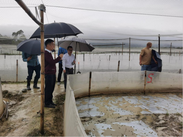到罗源镇参观“稻鱼稻蛙共生·生态循环”综合种养基地