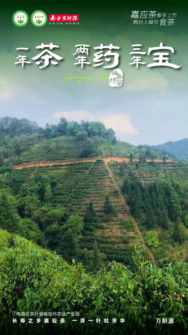 5  南方农村报 杨玲 制图