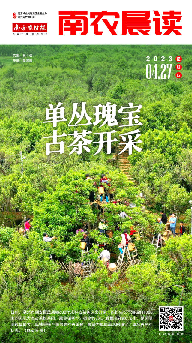 南方农村报 樊静东 制图