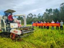 中国太保： 聚焦保险主业 做实体经济“守护者”