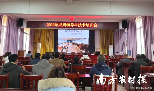 龍州鎮(zhèn)舉辦2023年養(yǎng)牛技術(shù)培訓(xùn)會(huì)
