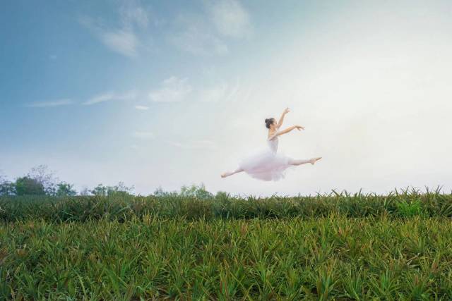 南方农村报 樊静东 制图