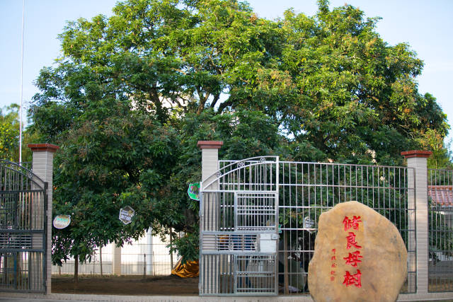 南方农村报 樊静东 制图