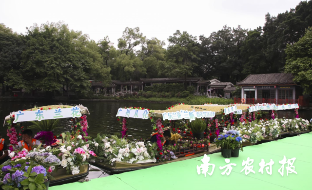 6大蘭花產(chǎn)區(qū)主題“蘭舫”,。