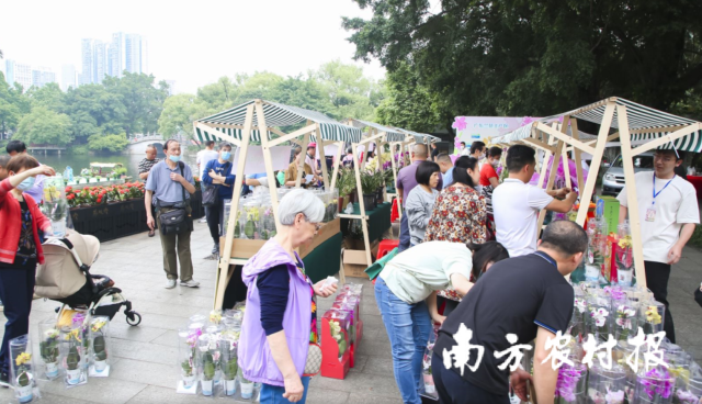廣東蘭花“蘭舫”嘉年華活動展銷現(xiàn)場,。