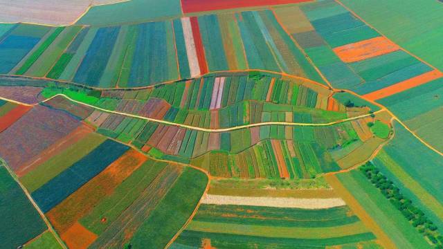 南方农村报 樊静东 制图