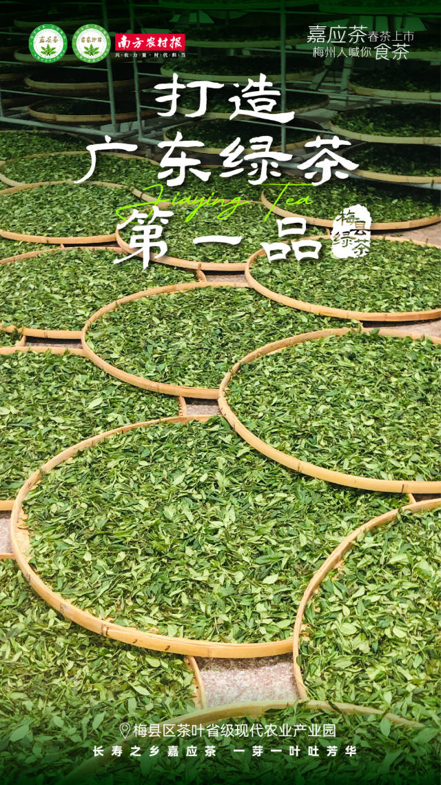 0  南方农村报 杨玲 制图