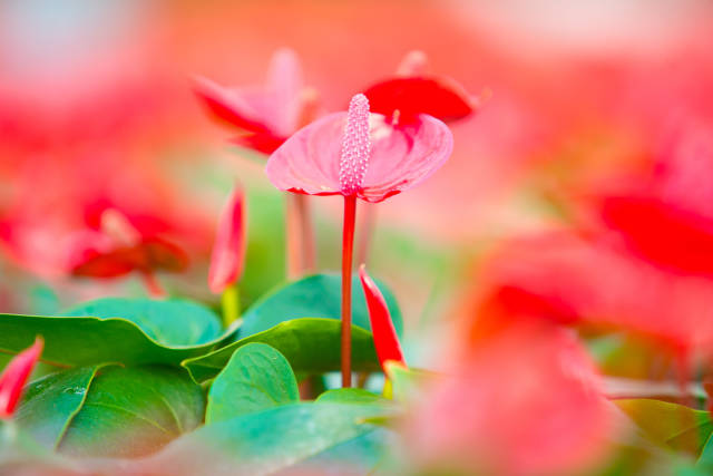 南方农村报 樊静东 制图