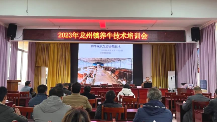 養(yǎng)牛有方,，致富得法,！龍州縣龍州鎮(zhèn)開展養(yǎng)牛技術(shù)培訓(xùn) | 粵桂協(xié)作