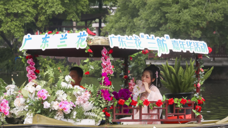蘭秀“五一”,！廣東蘭花“蘭舫”嘉年華在廣州荔灣湖啟幕
