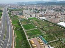 潮南区仙城镇：荒地披绿 仙城觅仙 | 竞跑“百千万” 再造“镇能量”