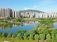 招商、旺市、聚才，南方日报聚焦肇庆如何拼发展