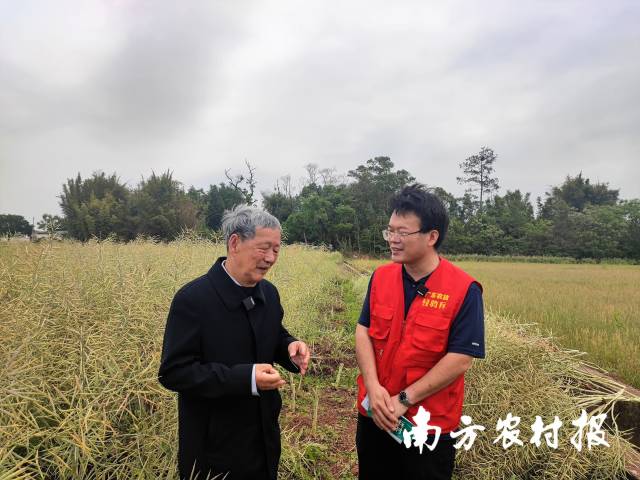 中國(guó)工程院院士,、國(guó)家油菜工程技術(shù)研究中心主任,、華中農(nóng)業(yè)大學(xué)教授傅廷棟介紹油菜多功能作用