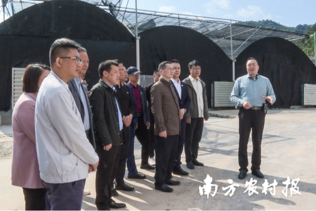 考察團一行到金秀圣堂·村級集體經(jīng)濟產(chǎn)業(yè)園開展實地調研