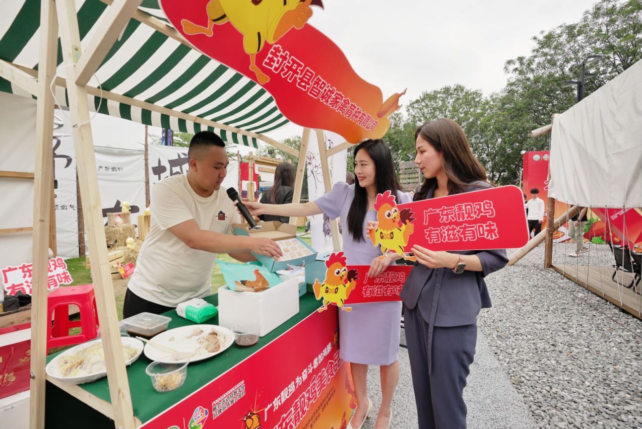 智诚杏花鸡现场展出 智诚杏花鸡现场展出