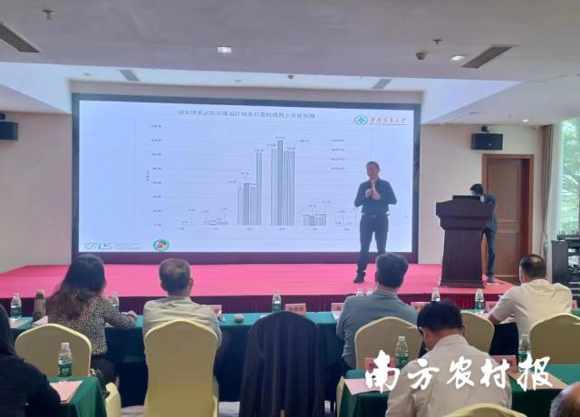國家荔枝龍眼產(chǎn)業(yè)技術(shù)體系首席科學家、研究院陳厚彬分析2023年廣東荔枝產(chǎn)銷形勢 