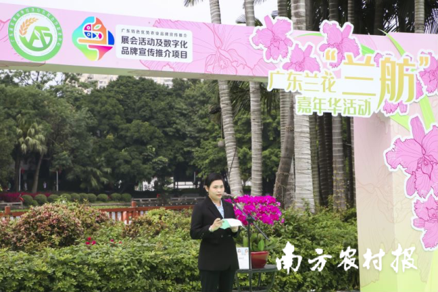 佛山市南海區(qū)廣東萬頃洋農(nóng)業(yè)發(fā)展有限公司總經(jīng)理助理趙淑賢做蘭花推介
