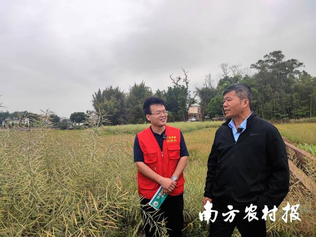 華中農(nóng)業(yè)大學(xué)教授沈金雄介紹油菜選用的適宜品種