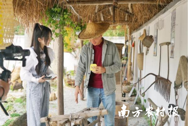 南方农村报 陈志深 制图