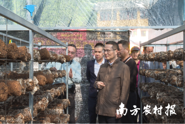 考察團一行到金秀圣堂·村級集體經(jīng)濟產(chǎn)業(yè)園開展實地調研。