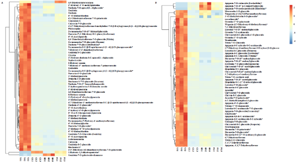 葛根和粉葛异黄酮及黄酮差异代谢物