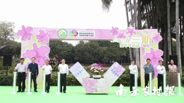 講好廣東蘭花新故事,，五大蘭花產區(qū)邀請市民現場“品蘭”