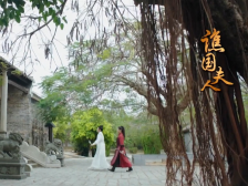 娘娘庙变身“灵台寺”、晏镜岭沙滩变身“易奴场”，这些茂名元素你get了吗｜在＋看剧①