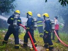 筑牢森林防火安全防线，守护南沙森林安全