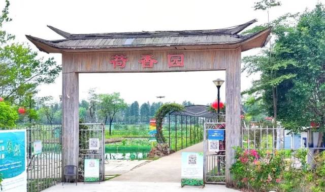 田园风光、网红小吃、亲子游戏……江海邀你来一场美景与美食的碰撞
