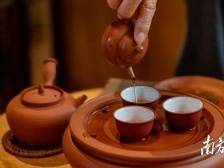 壶小乾坤大，潮州人喝茶，究竟有多讲究？｜2023潮州工夫茶大会系列报道③