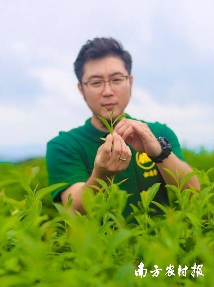 如今的余威，不仅事业在内地，生活也在内地，这里有他的茶园，也有他的家庭。