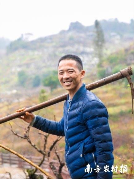 谢明光是一名在河源市连平县鹰嘴蜜桃产业发展中成长起来的农民企业家，他诠释了什么叫顺势而为。