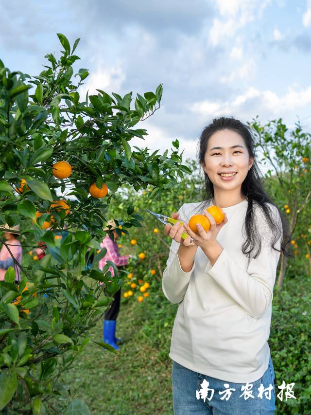 凭借出色的英文，陈慧成了广东柑橘走向世界的代言人。