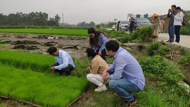 培训班后，专家在基地调研